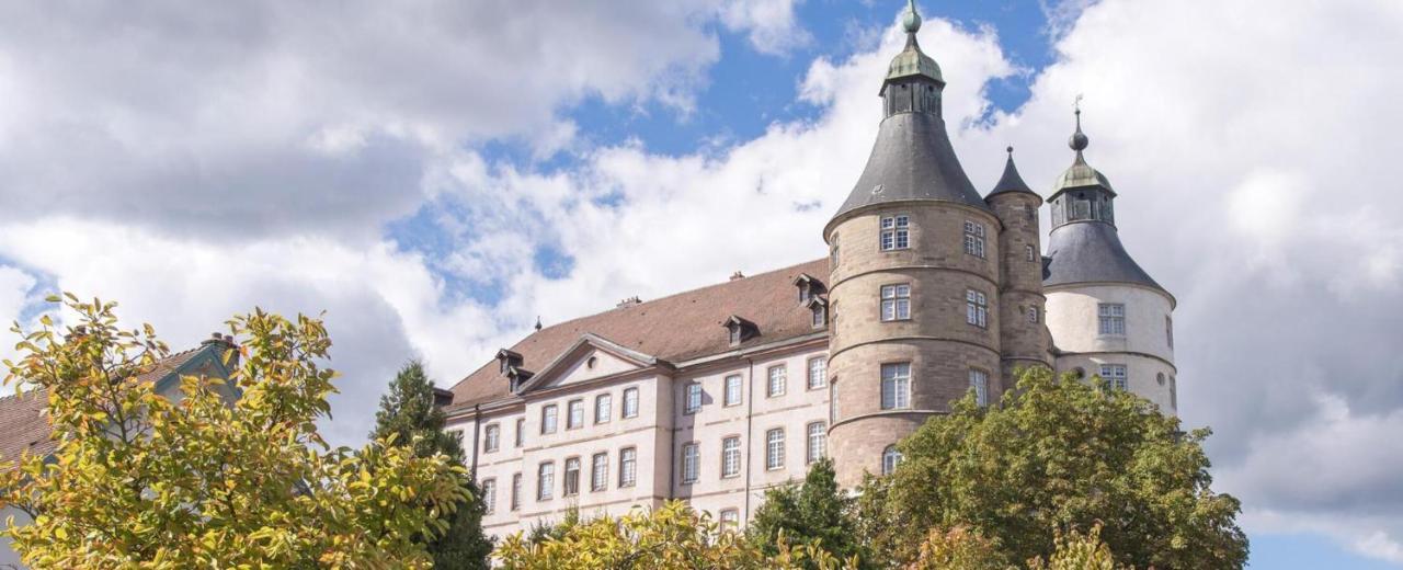 Appart'Hotel De La Gare - Cocooning Montbéliard Zewnętrze zdjęcie