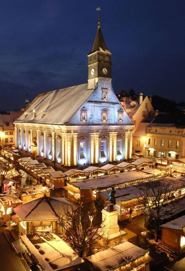 Appart'Hotel De La Gare - Cocooning Montbéliard Zewnętrze zdjęcie